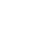 Home Icon